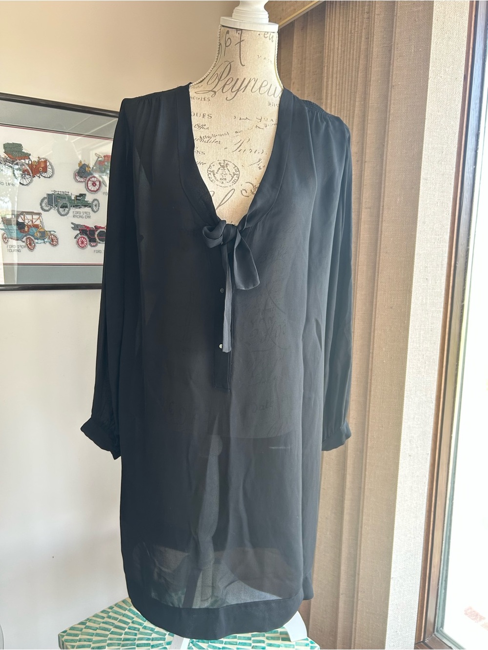 Sheer Black Tie-Neck Blouse Dress